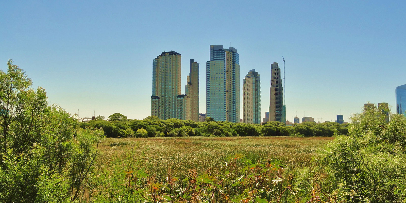 Reserva ecológica costanera, Buenos Aires